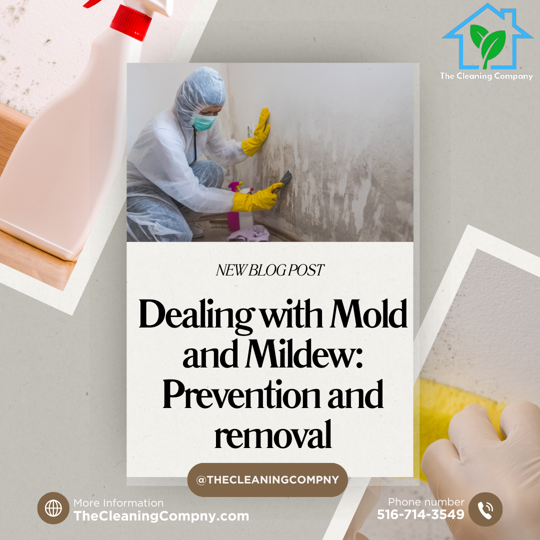Dealing with Mold and Mildew: Prevention and removal