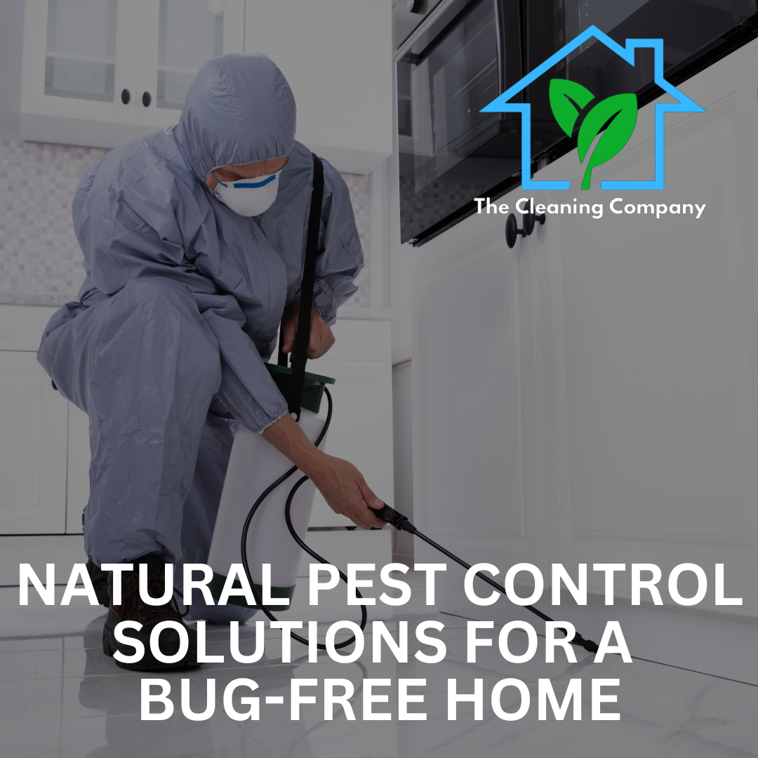 Natural Pest Control Solutions for a Bug-Free Home