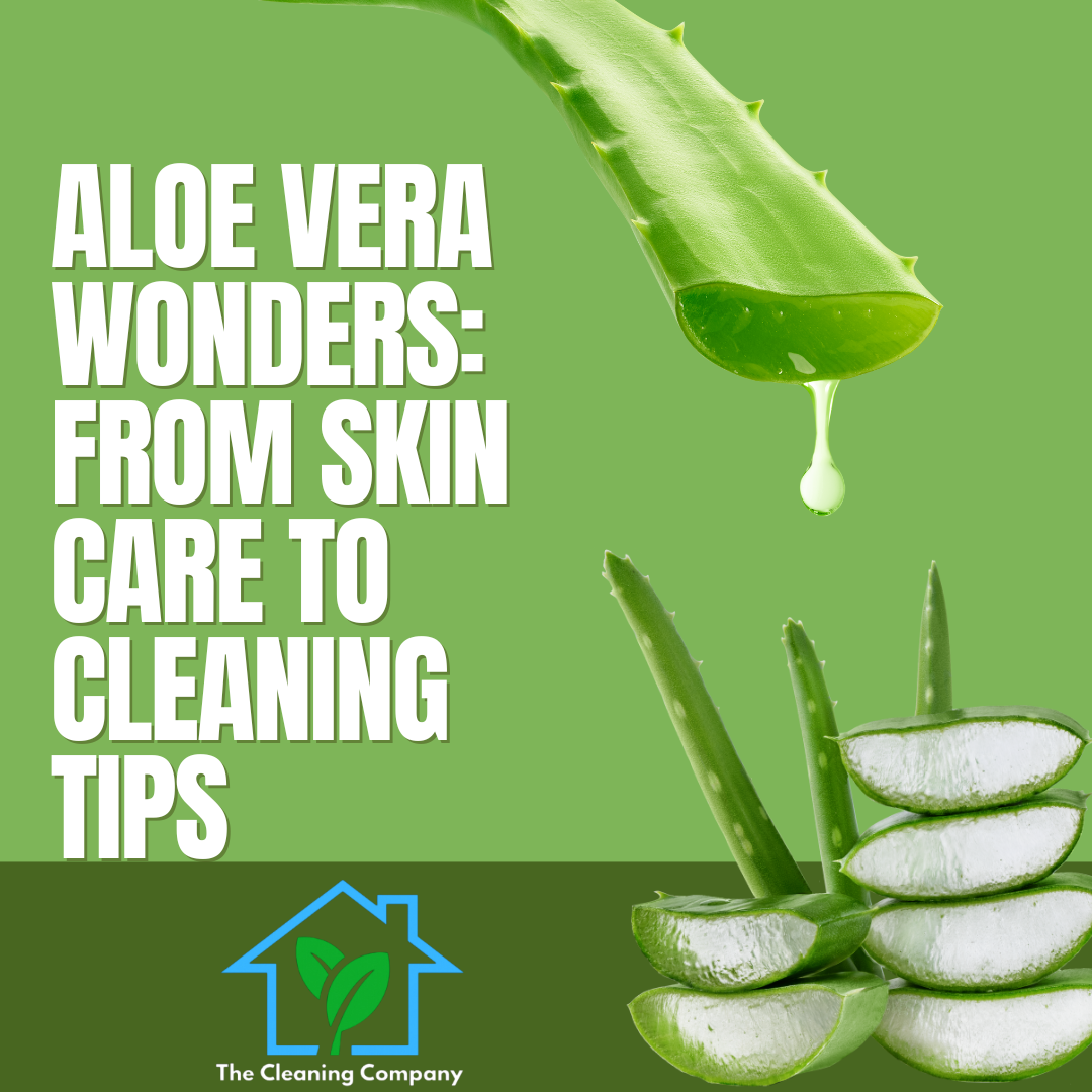 Aloe Vera Wonders: From Skin Care to Cleaning Tips