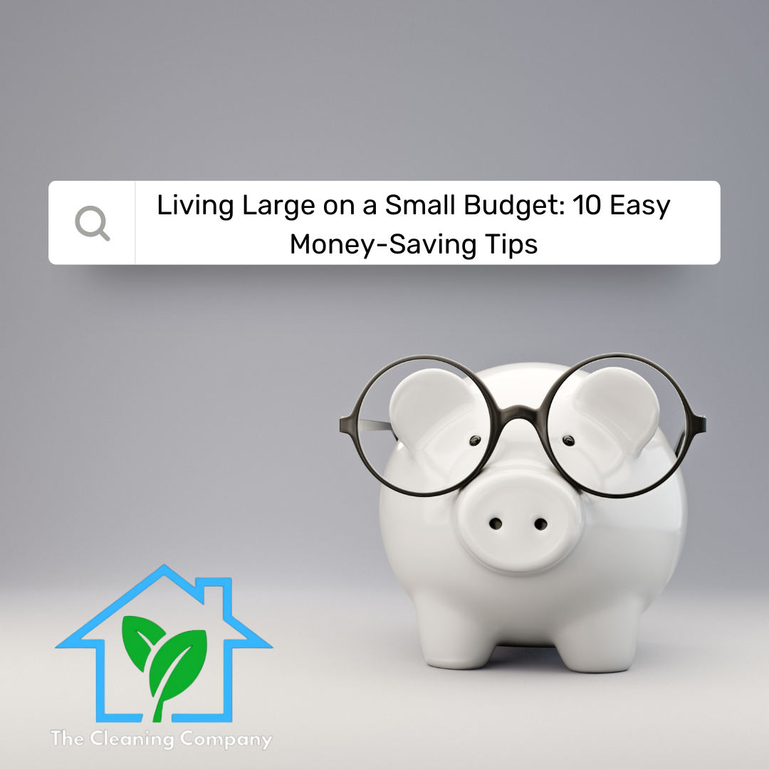 Living Large on a Small Budget: 10 Easy Money-Saving Tips