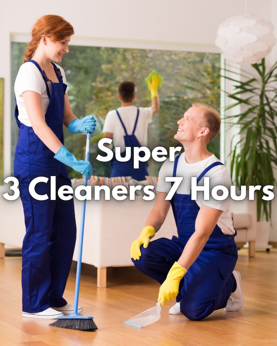 Pro Packages - 3 Cleaners
