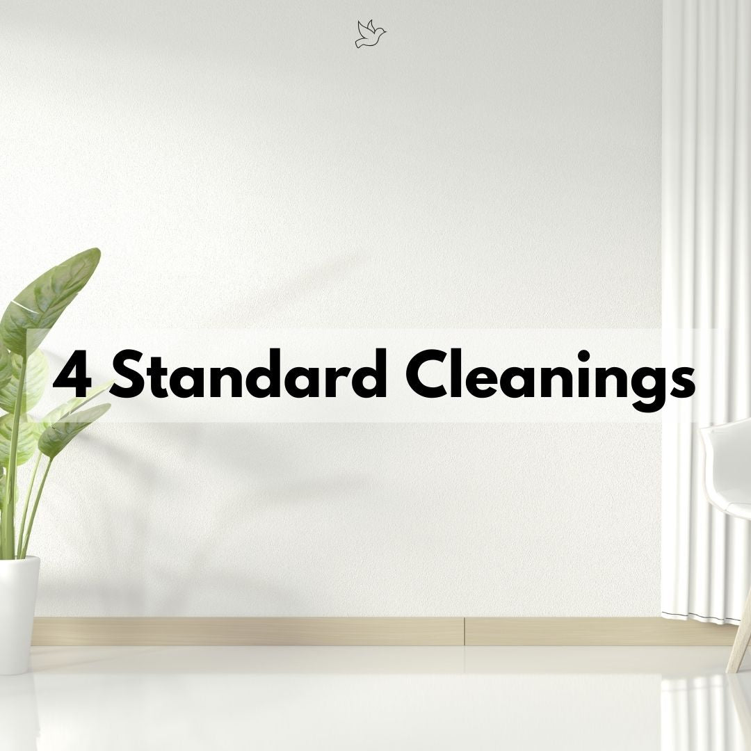 x4 Standard Cleanings