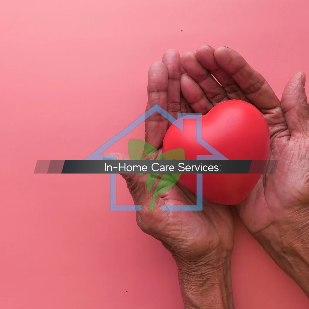 In-Home Care Service