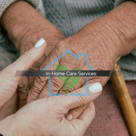 In-Home Care Service