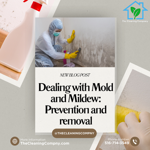 Dealing with Mold and Mildew: Prevention and removal