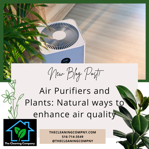 Air Purifiers and Plants: Natural ways to enhance air quality