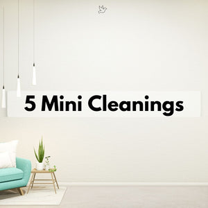 5 Mini Cleanings