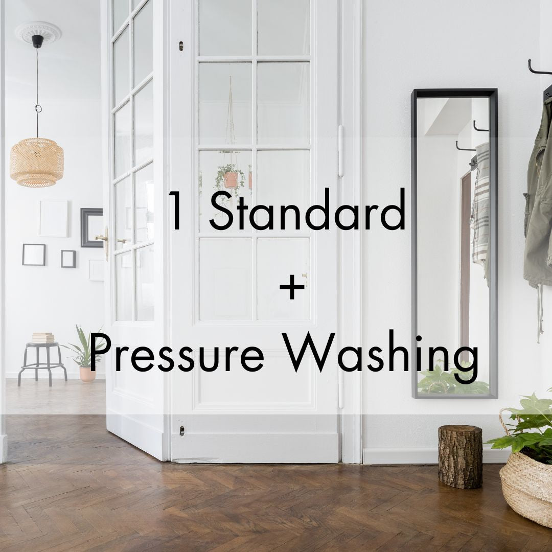 1 Standard + Pressure Washing