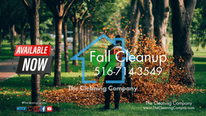 🍂 Leaf Clean-Up Service